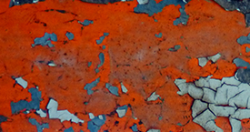 Haim Zadok & Co Law offices