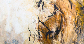 Haim Zadok & Co Law offices