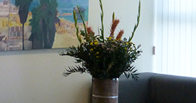 Haim Zadok & Co Law offices