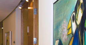 Haim Zadok & Co Law offices