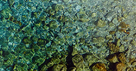 Haim Zadok & Co Law offices