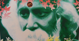 Haim Zadok & Co Law offices